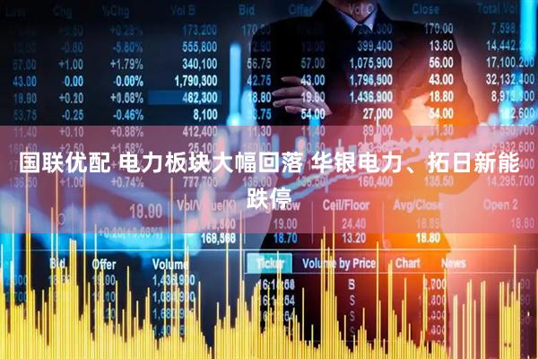 国联优配 电力板块大幅回落 华银电力、拓日新能跌停