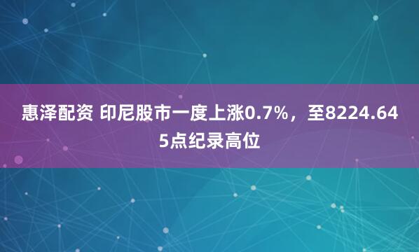 惠泽配资 印尼股市一度上涨0.7%，至8224.645点纪录高位